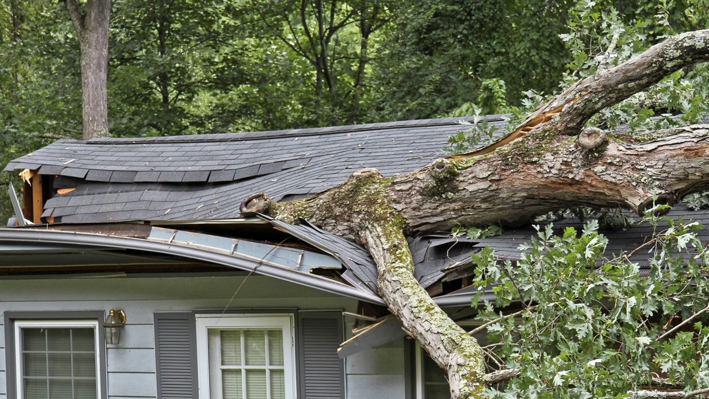 Roof Damage Insurance Claim Crofton MD